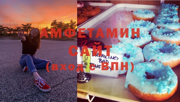тгк Дмитриев